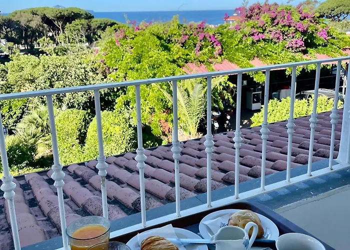 Rosa Torre del Greco