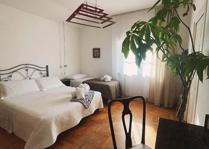 Rosa Torre del Greco