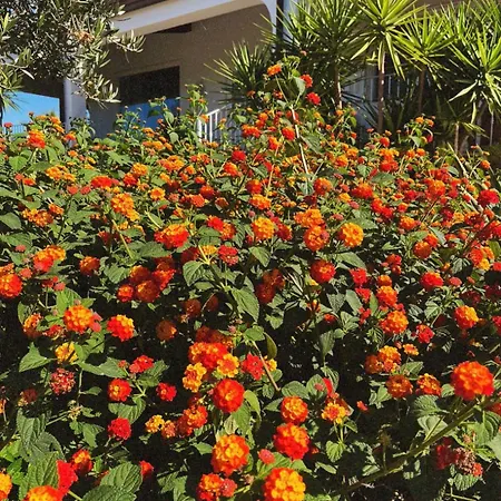 Rosa Bed & Breakfast 3*