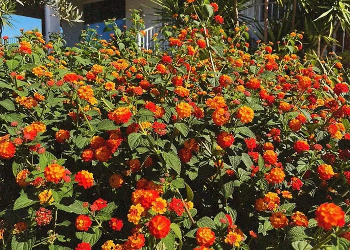 Rosa Bed & Breakfast 3*